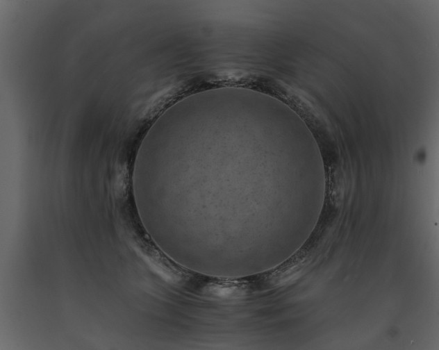 X0000091650563200708231224