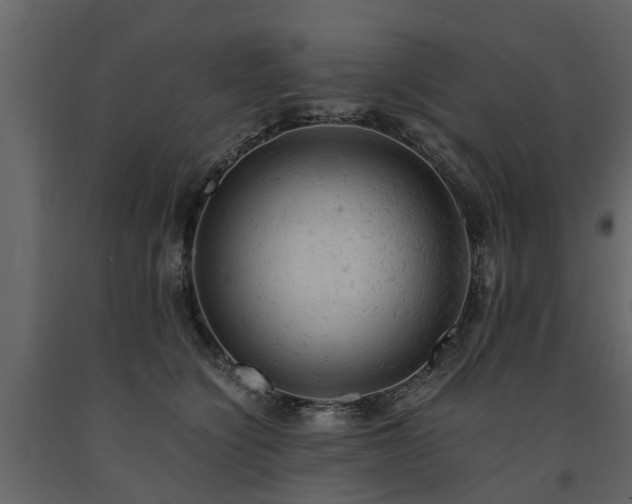 X0000091650564200708231224