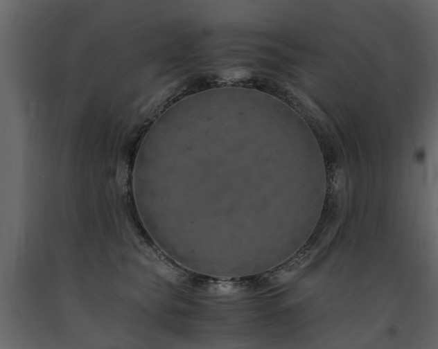 X0000091650565200708231224