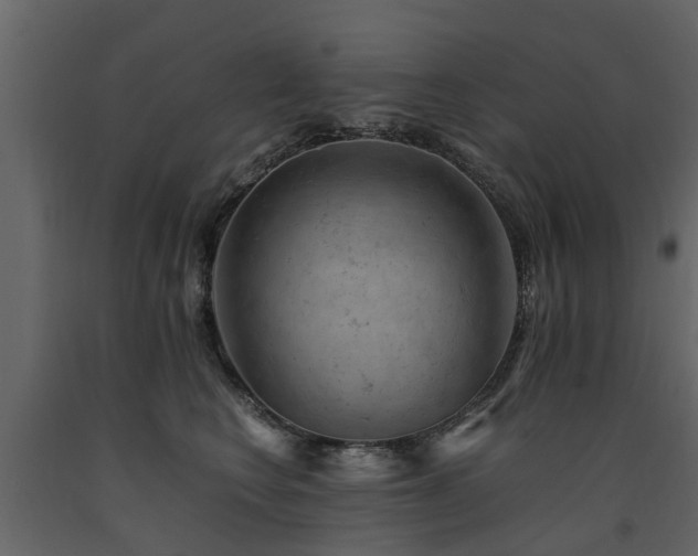 X0000091650566200708231224