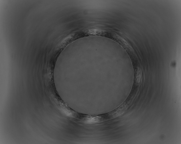 X0000091650569200708231224
