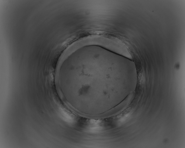X0000091650570200708231224