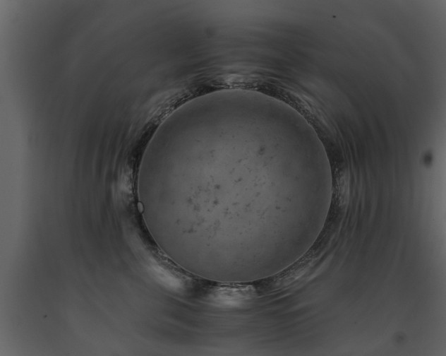 X0000091650571200708231224
