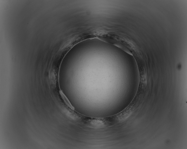 X0000091650572200708231224