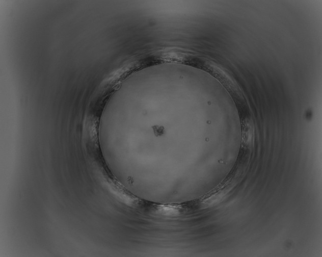 X0000091650573200708231224