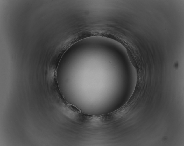 X0000091650574200708231224