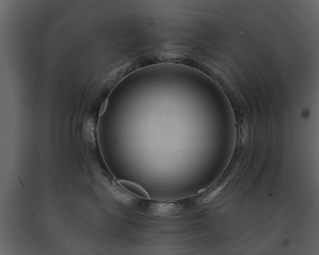 X0000091650575200708231224