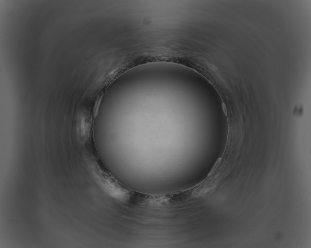 X0000091650576200708231224