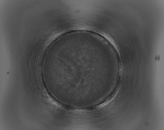 X0000091650577200708231223