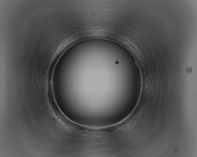 X0000091650578200708231223