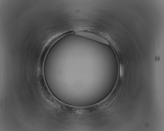 X0000091650579200708231223