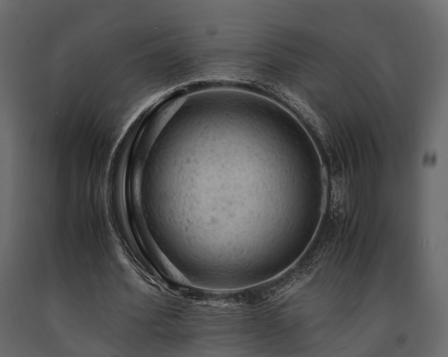 X0000091650580200708231223