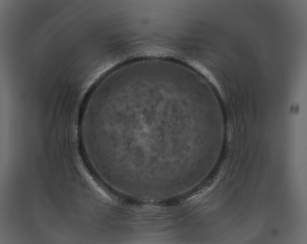 X0000091650581200708231223