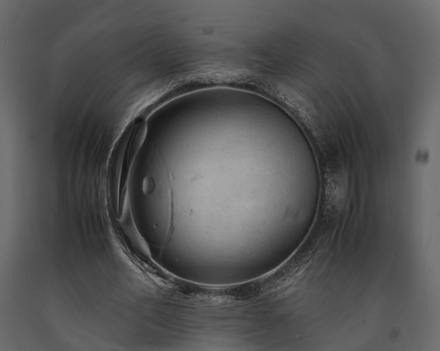 X0000091650582200708231223