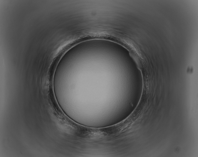 X0000091650583200708231223