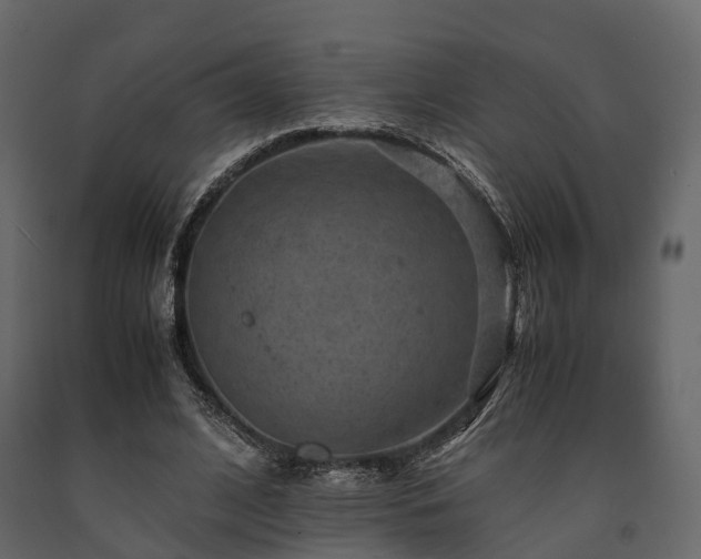 X0000091650584200708231223