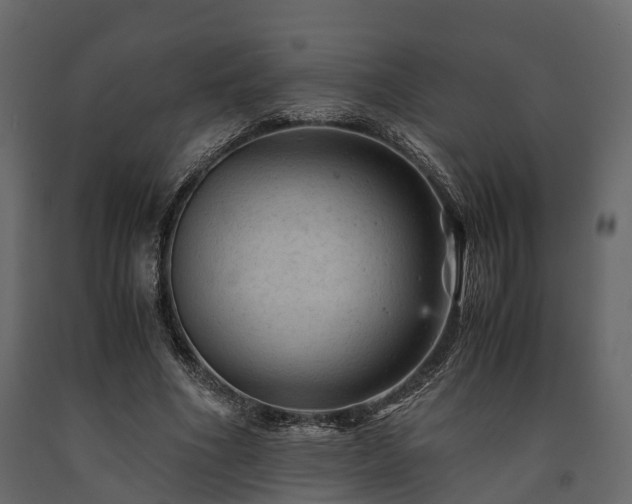X0000091650586200708231223