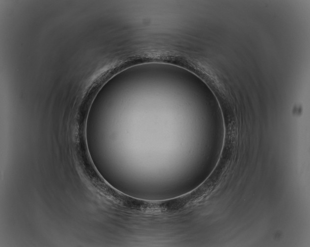 X0000091650587200708231223