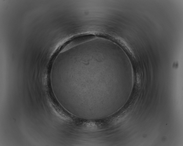 X0000091650588200708231223