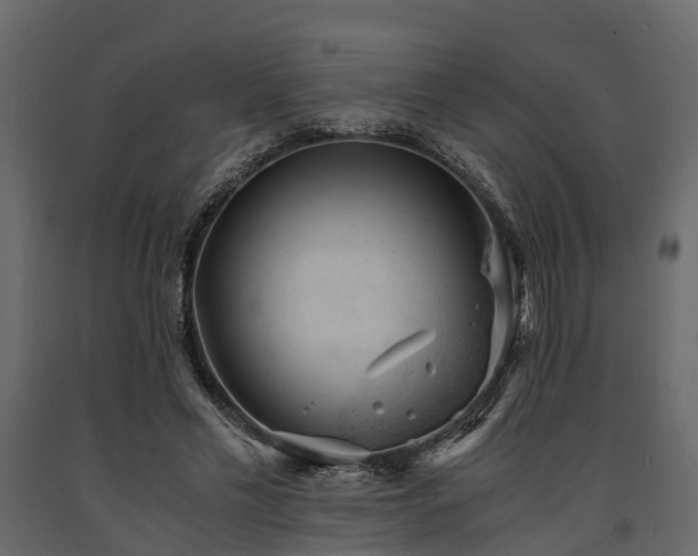 X0000091650589200708231223