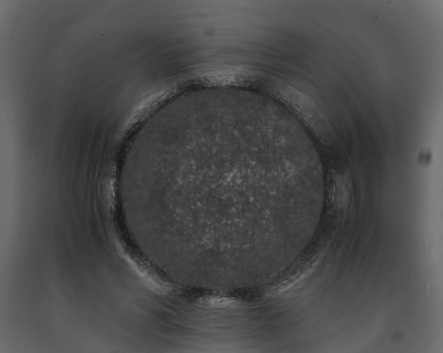 X0000091650590200708231223