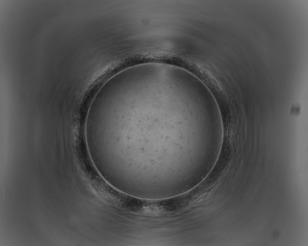 X0000091650591200708231223
