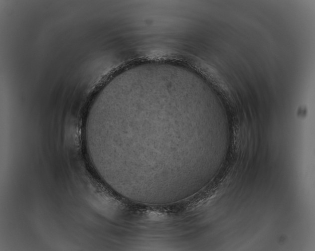 X0000091650592200708231223