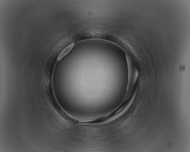 X0000091650593200708231223