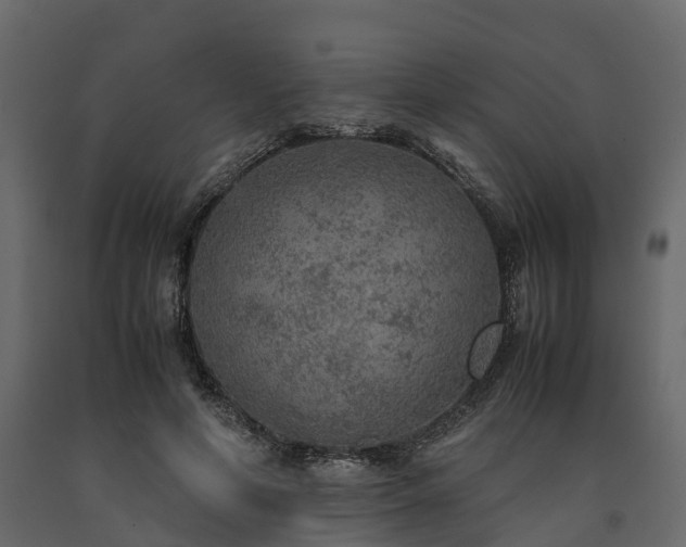 X0000091650594200708231223