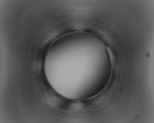 X0000091650595200708231223