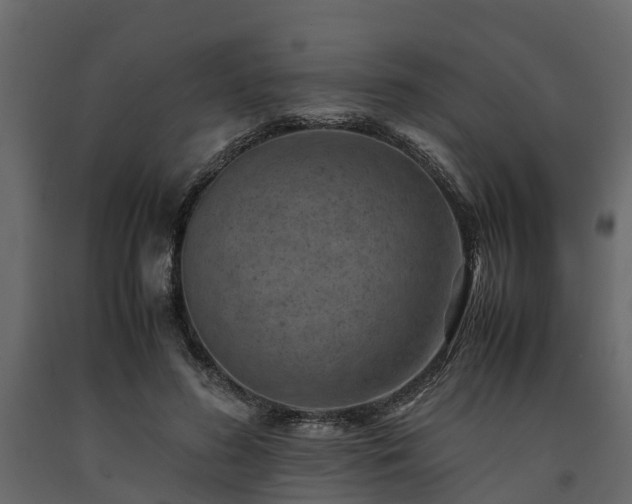 X0000091650596200708231223
