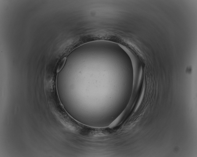 X0000091650597200708231223