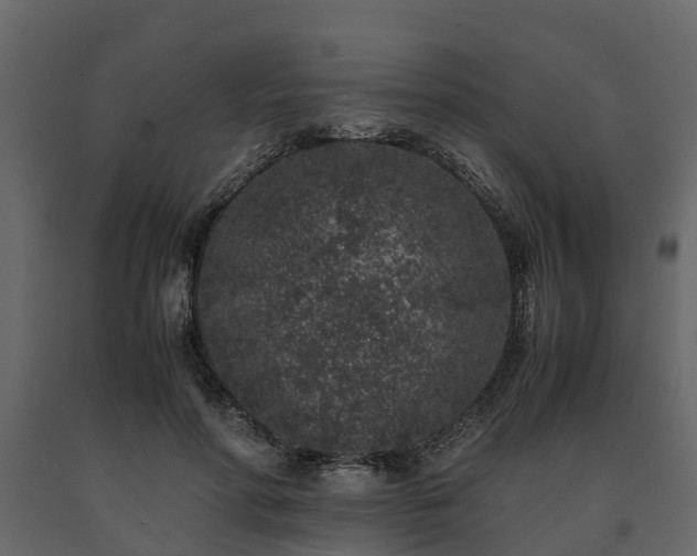 X0000091650598200708231223