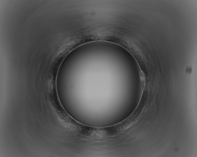 X0000091650599200708231223