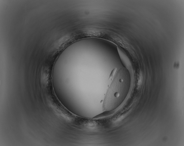 X0000091650600200708231223