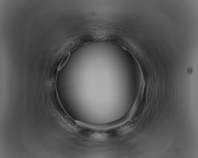 X0000091650601200708231223