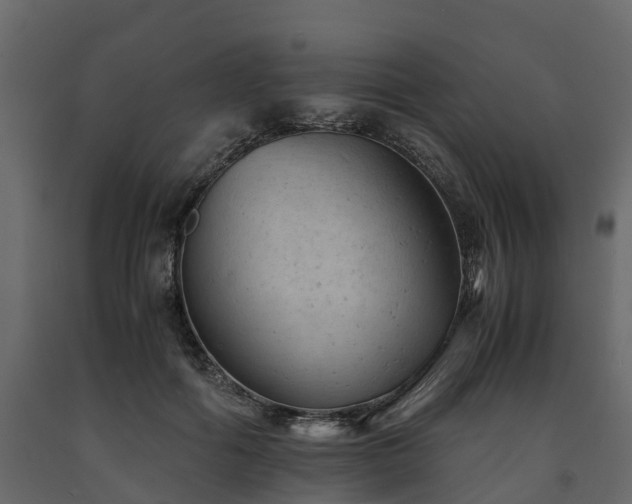 X0000091650602200708231223