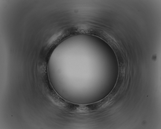 X0000091650603200708231223