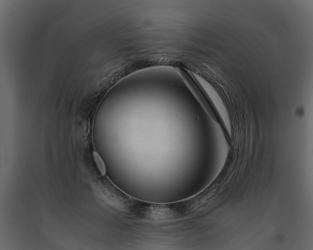 X0000091650605200708231223