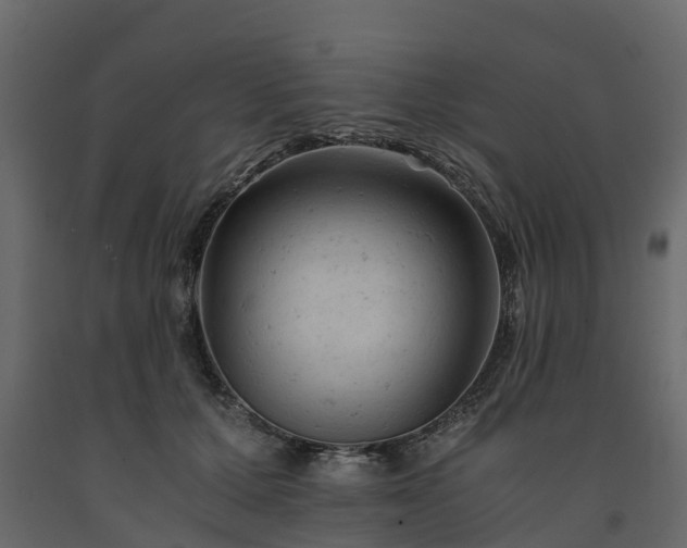 X0000091650607200708231223