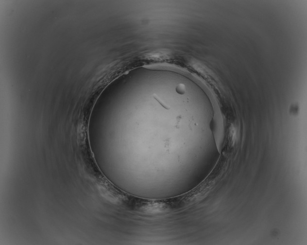 X0000091650609200708231223