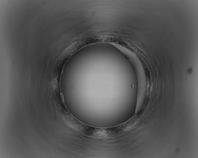 X0000091650611200708231223