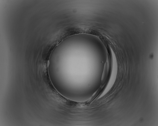 X0000091650613200708231223