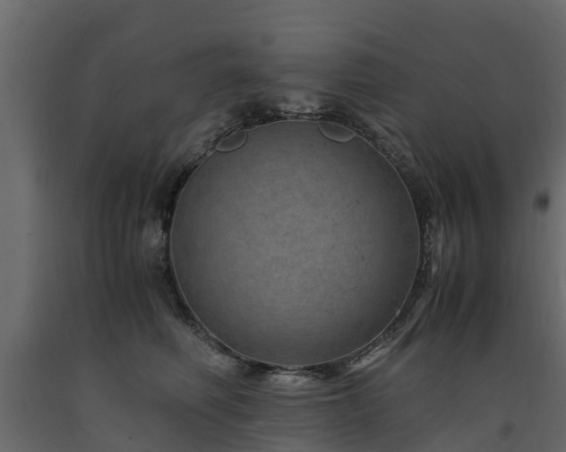 X0000091650614200708231223