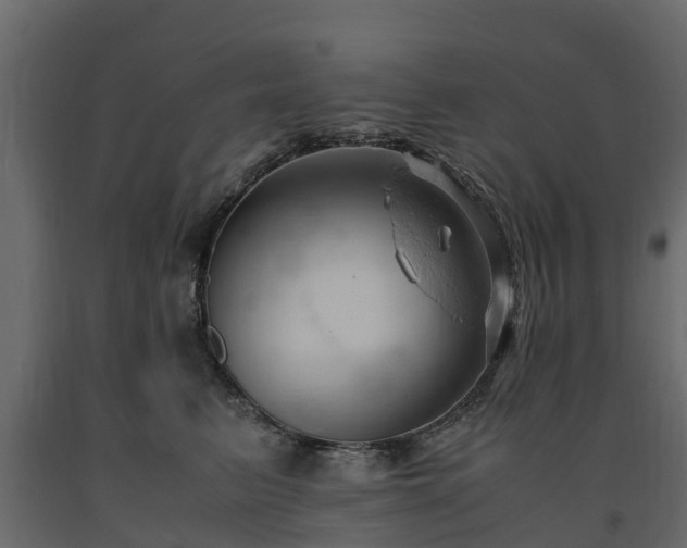 X0000091650615200708231223