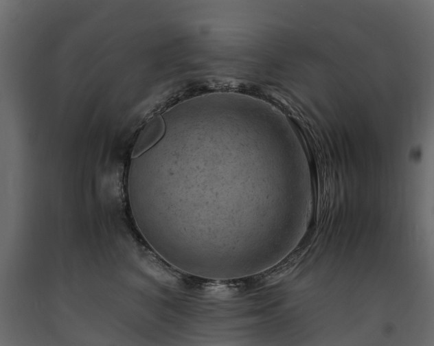 X0000091650616200708231223