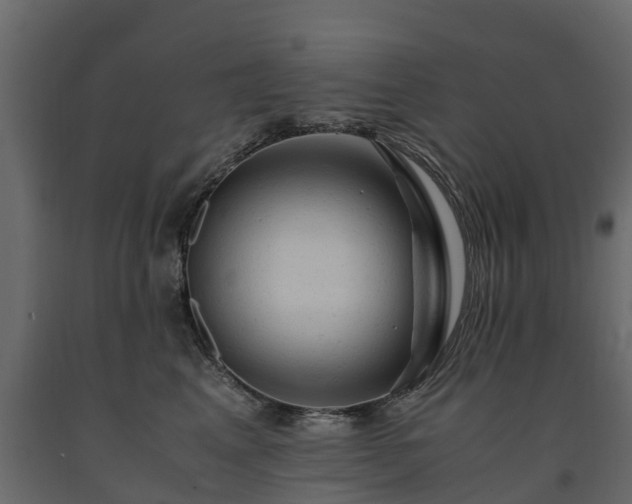 X0000091650617200708231223