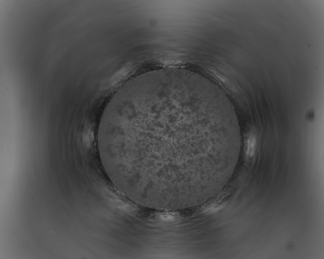 X0000091650618200708231223