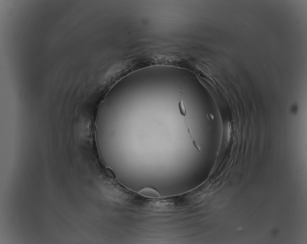 X0000091650619200708231223