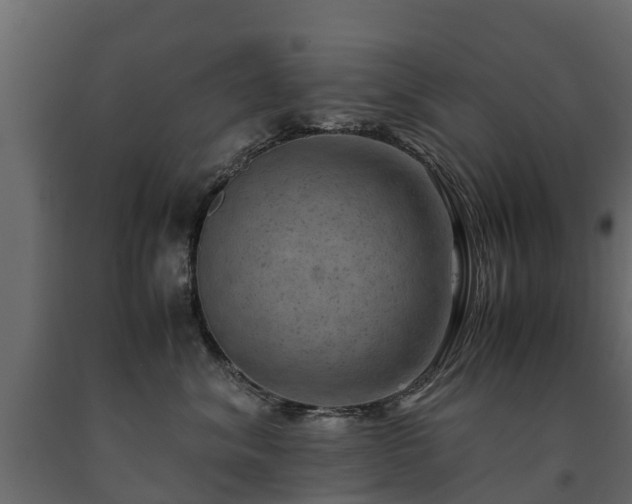 X0000091650620200708231223